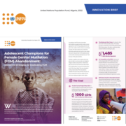 Innovation Brief - Strategies for Eradicating FGM