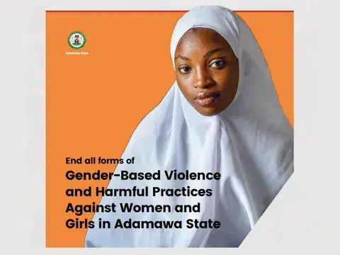 Gender-Based Violence and Harmful Practices Against Women and Girls in Adamawa State