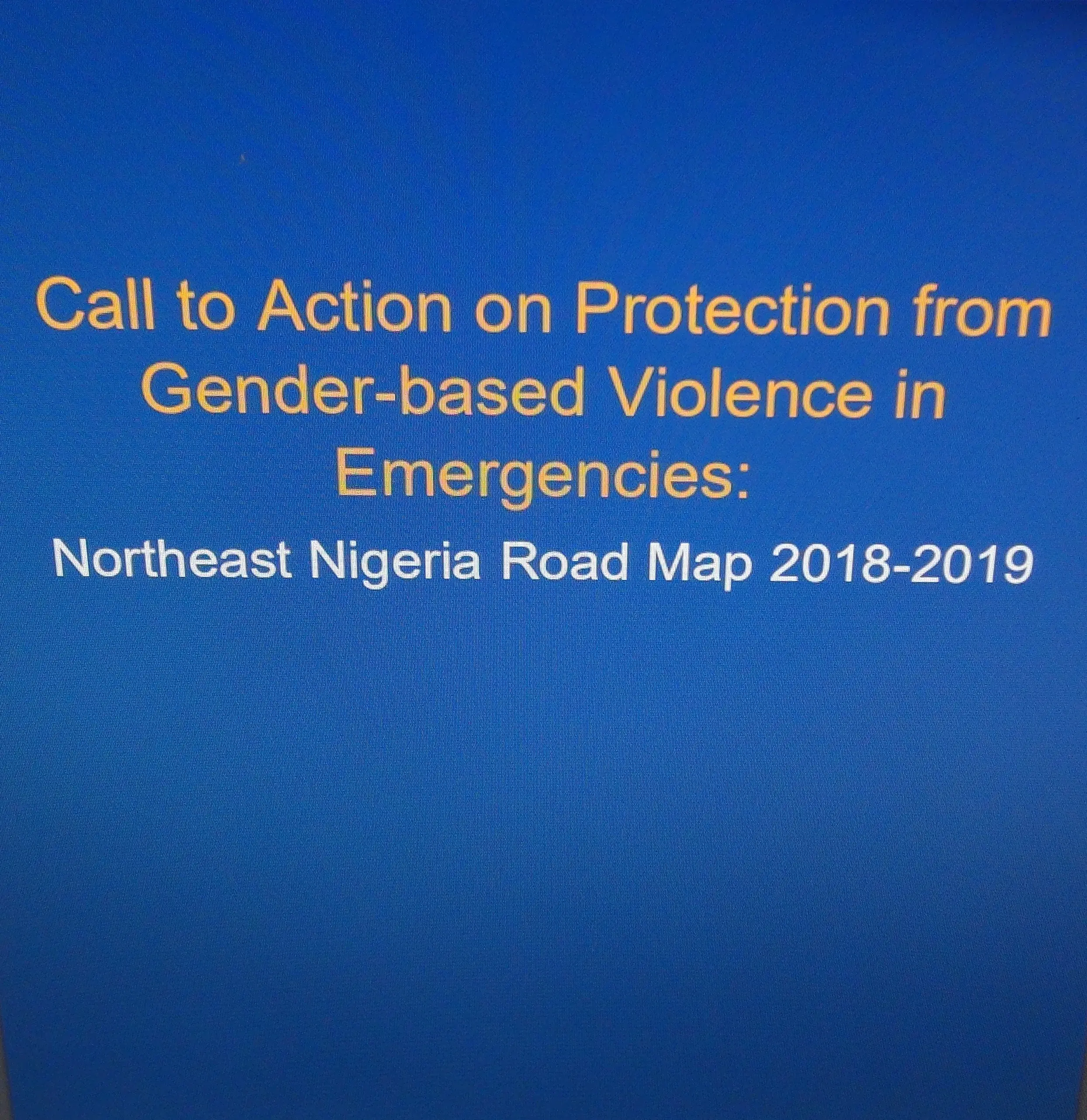 Call to Action on Protection from Gender-based Violence in Emergencies: Northeast Nigeria Road Map 2018-2019